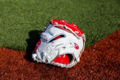 Rawlings Liberty Advanced Color Series 34-inch Catcher's Mitt -Balls Store RLACM34FPWSP 6