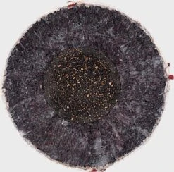 Balls Store -Balls Store RNF 91