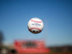 Rawlings MLB Official Baseball With Display Cube -Balls Store ROMLB 5